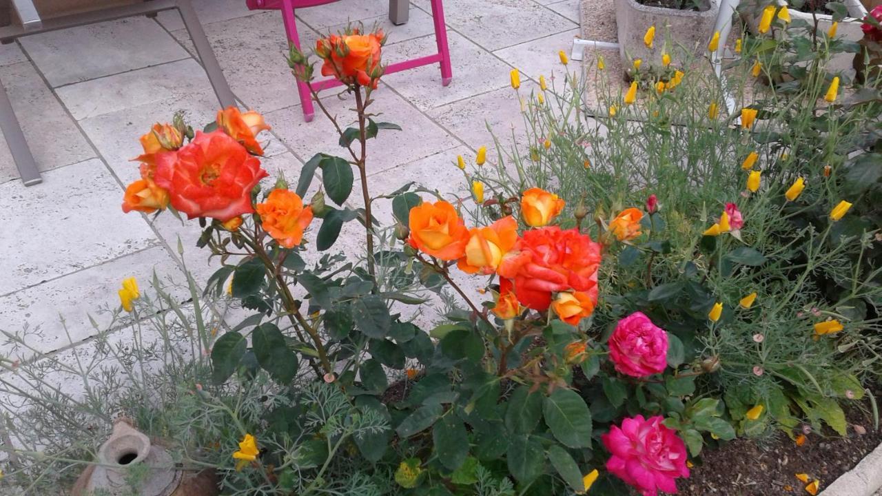Les Hirondelles Bed & Breakfast Onzain Exterior foto