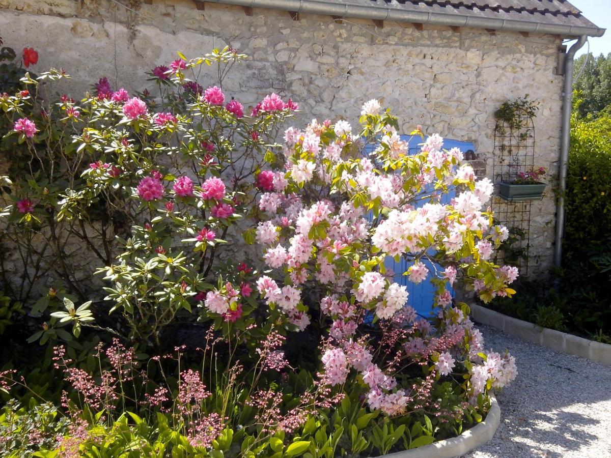 Les Hirondelles Bed & Breakfast Onzain Exterior foto