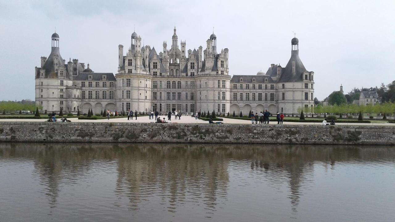 Les Hirondelles Bed & Breakfast Onzain Exterior foto