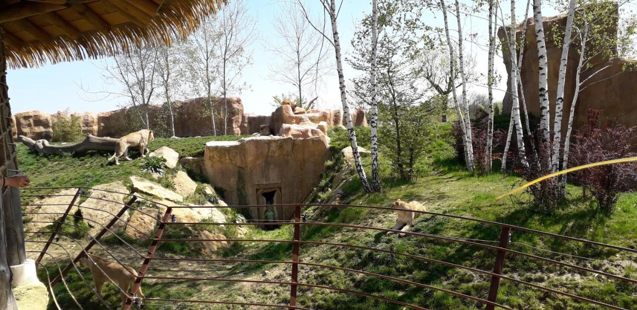 Les Hirondelles Bed & Breakfast Onzain Exterior foto