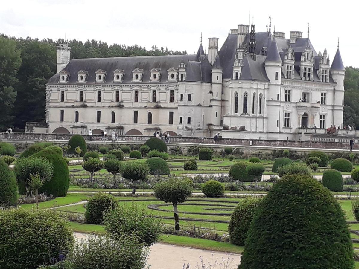 Les Hirondelles Bed & Breakfast Onzain Exterior foto