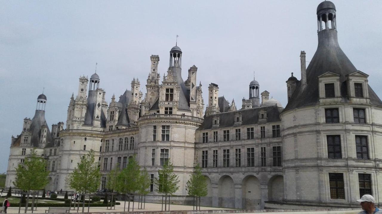 Les Hirondelles Bed & Breakfast Onzain Exterior foto