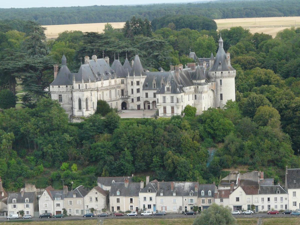 Les Hirondelles Bed & Breakfast Onzain Exterior foto
