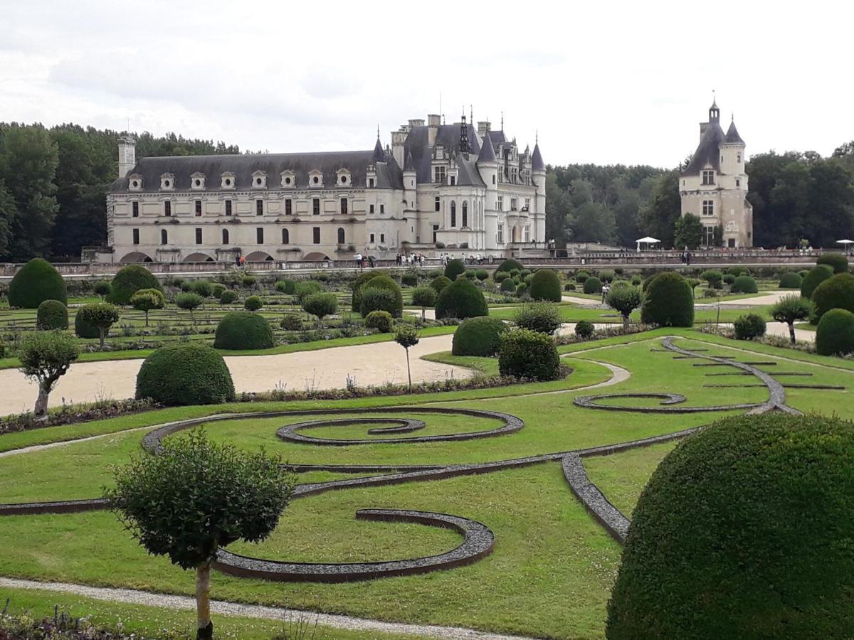 Les Hirondelles Bed & Breakfast Onzain Exterior foto