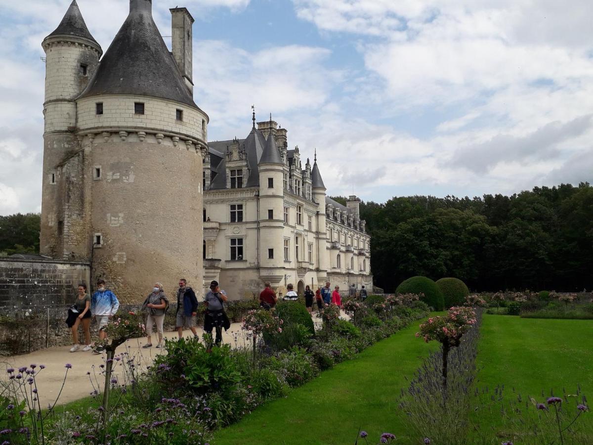 Les Hirondelles Bed & Breakfast Onzain Exterior foto